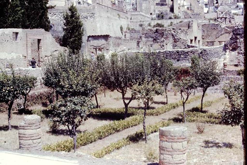 III.1/,2/18/19, Herculaneum. 1968. Area 31, looking north-west across garden. Photo by Stanley A. Jashemski.
Source: The Wilhelmina and Stanley A. Jashemski archive in the University of Maryland Library, Special Collections (See collection page) and made available under the Creative Commons Attribution-Non Commercial License v.4. See Licence and use details. J68f1821
