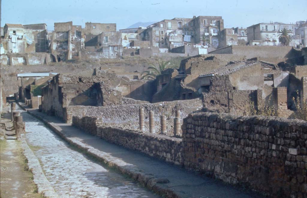 III.2/1, Herculaneum, 4th December 1971. Looking north towards east side of Cardo III Inferiore, with garden area of III.1, on right.
The entrance doorway to III.2 can be seen in the centre, on the left.
Photo courtesy of Rick Bauer, from Dr George Fay’s slides collection.
