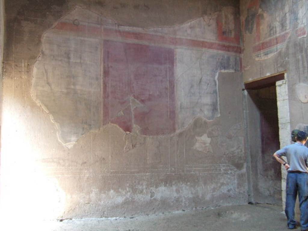 Ins. III.16, Herculaneum, May 2006. Room 9, south wall of atrium. 