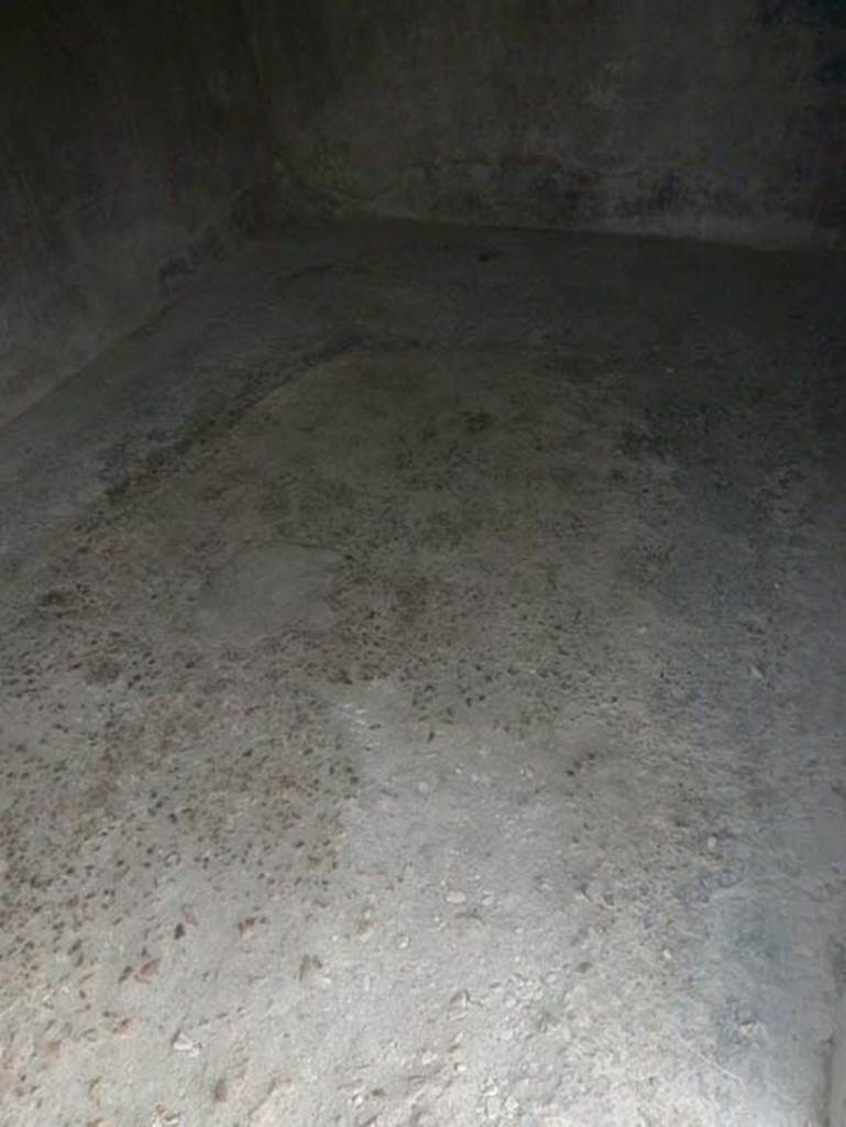 IV.4 Herculaneum. September 2015. Room 8, flooring.