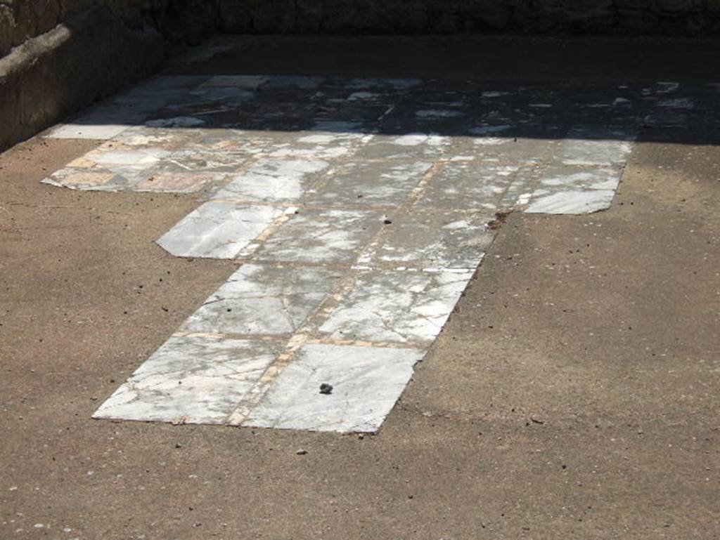 IV.4 Herculaneum. May 2006. Room 20, triclinium flooring in opus sectile, which was partly removed by the Bourbon excavators.