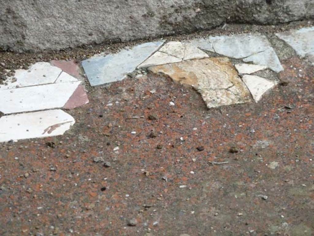 IV.4 Herculaneum. September 2015. Room 20, detail of opus sectile flooring.

