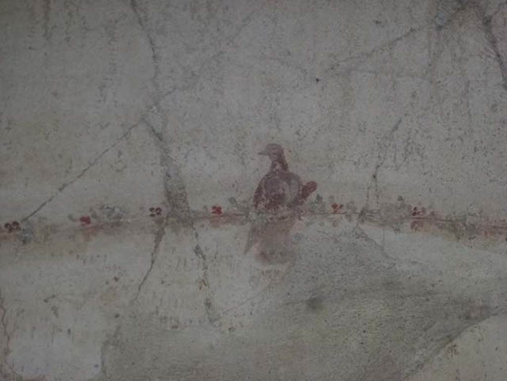 IV.4 Herculaneum. October 2012. Room 24, painted bird decoration from west wall.
Photo courtesy of Michael Binns.
