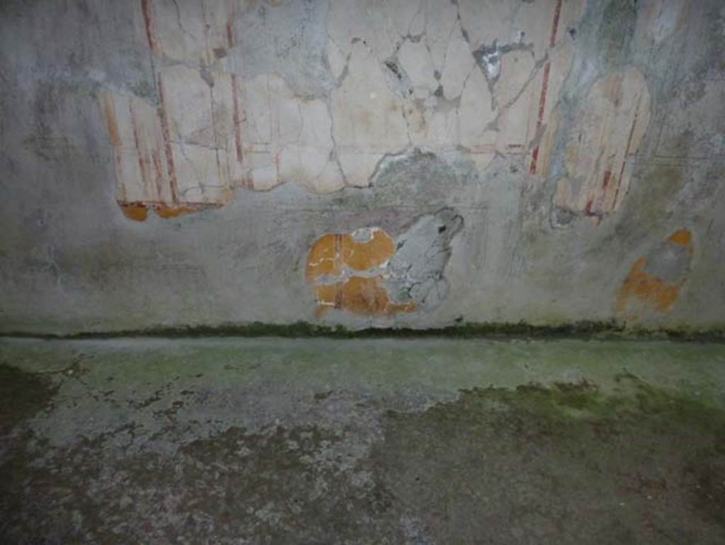 IV.4 Herculaneum. September 2015. Room 24, zoccolo (lower plinth/dado) of north wall.