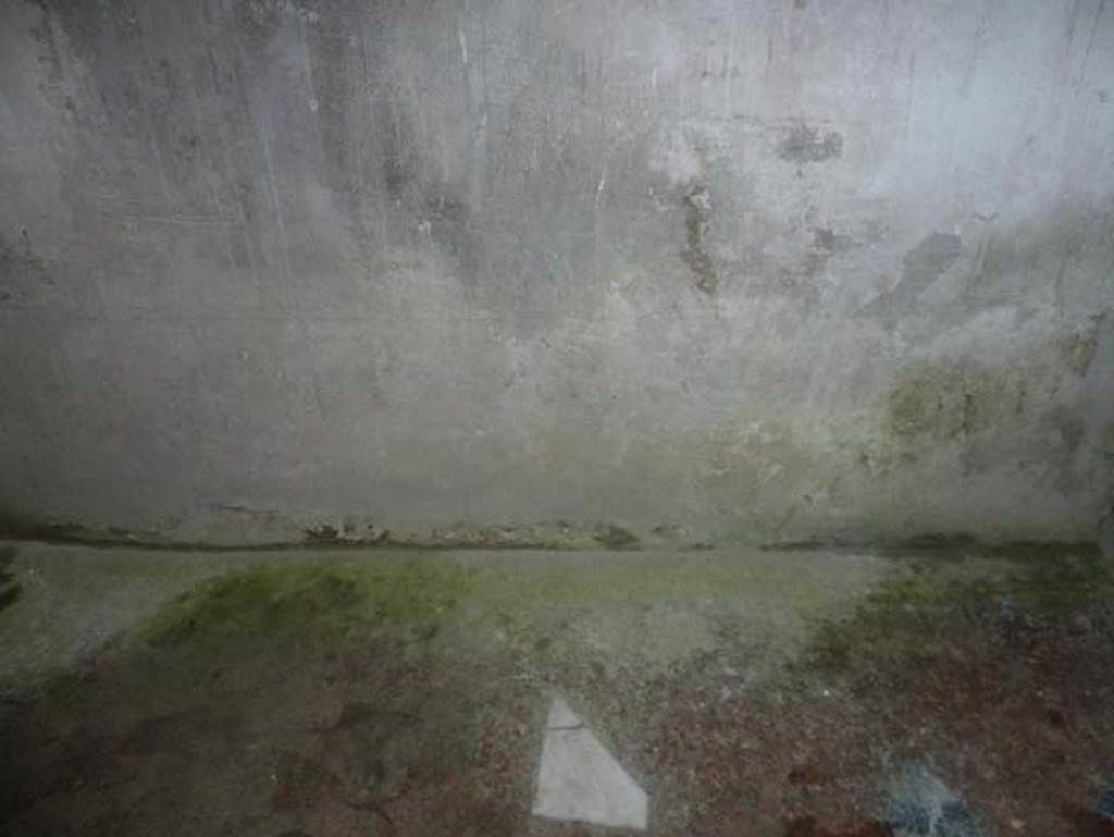 IV.4 Herculaneum. September 2015. Room 24, zoccolo (lower plinth/dado) of east wall.