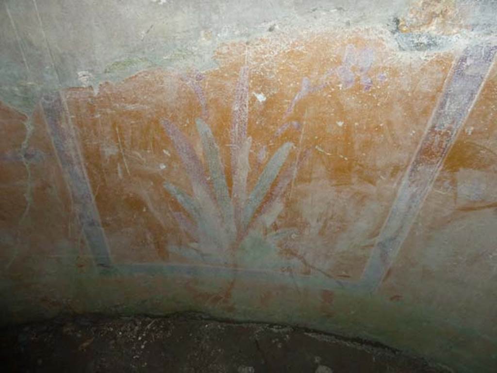IV.4 Herculaneum. September 2015. Room 24, detail of painted plant from zoccolo of apse.