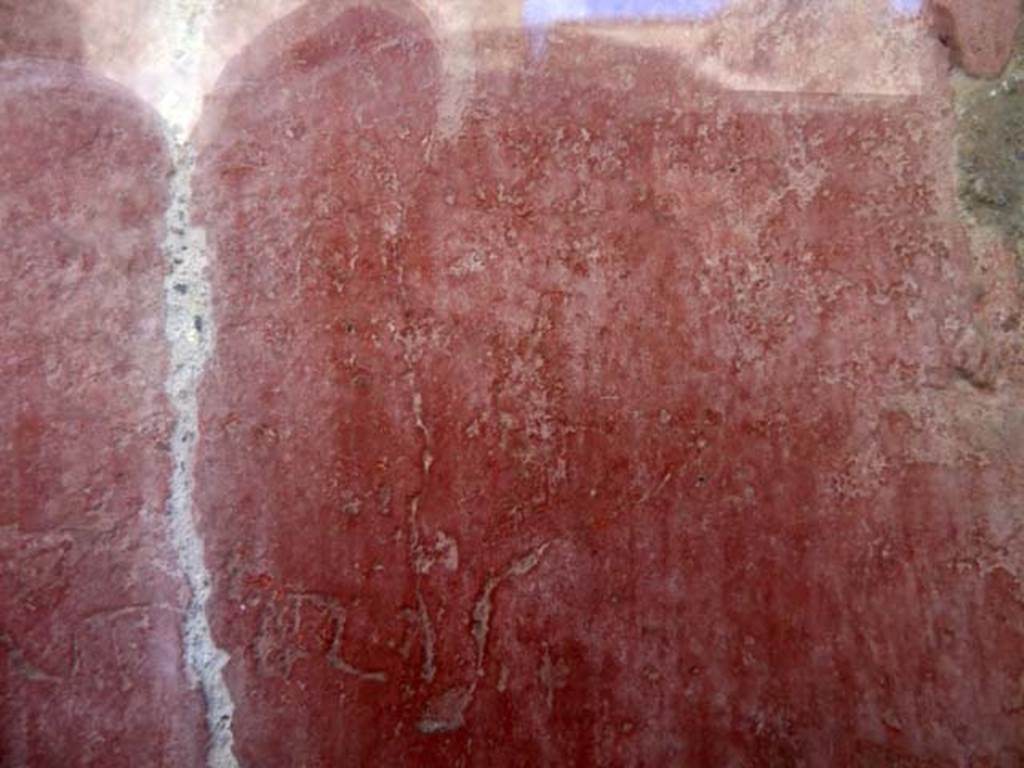 IV.8, Herculaneum, May 2010. Puteolis part of graffito on the south wall of the long corridor.