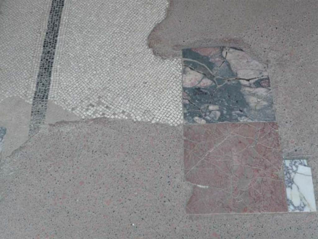 V.7, Herculaneum. August 2013. Detail of flooring in tablinum. Photo courtesy of Buzz Ferebee.