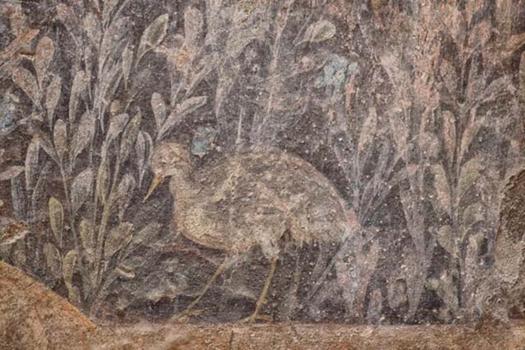 V.7, Herculaneum, April 2018. Detail of painted bird in garden scene from south-east corner of internal courtyard. Photo courtesy of Ian Lycett-King. Use is subject to Creative Commons Attribution-NonCommercial License v.4 International.
