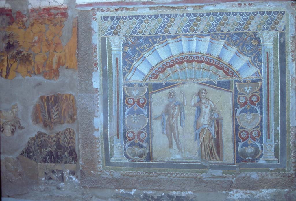  V.7 Herculaneum. 7th August 1976. Looking towards north end of painting on east wall.
Photo courtesy of Rick Bauer, from Dr George Fay’s slides collection.
