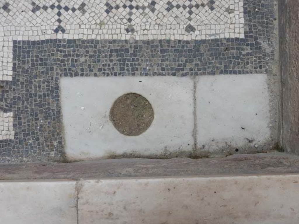 V.8 Herculaneum, May 2018. Area 4, rainwater drainage in south-east corner of raised courtyard.  
Photo courtesy of Buzz Ferebee.

