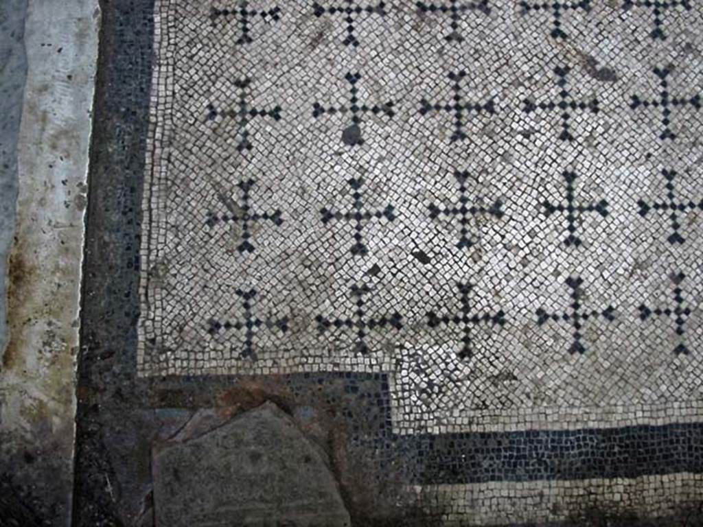 V.8, Herculaneum. May 2003. Area 4, detail of flooring. Photo courtesy of Nicolas Monteix.

