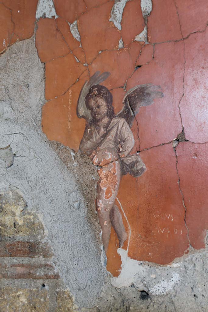 V.8 Herculaneum. March 2014. 
Room 7, painted cupid from west side of north wall of the large salon.
Foto Annette Haug, ERC Grant 681269 DÉCOR
