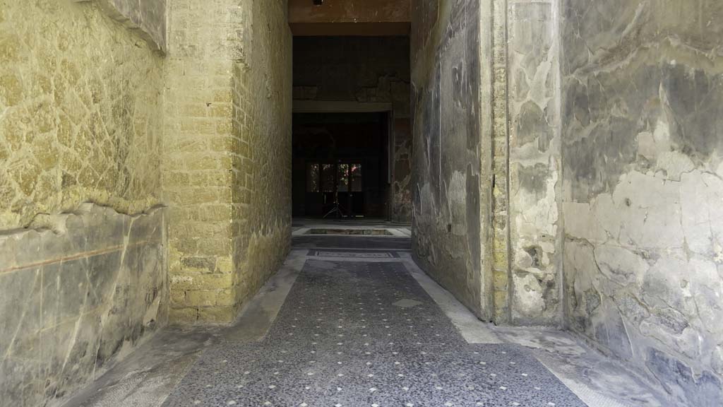 V.15 Herculaneum, August 2021. Looking south along mosaic in entrance corridor towards atrium. Photo courtesy of Robert Hanson.
