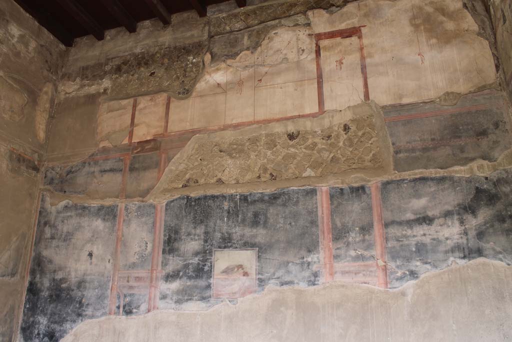 V.35 Herculaneum. March 2014. Ala 10, upper west wall.
Foto Annette Haug, ERC Grant 681269 DÉCOR

