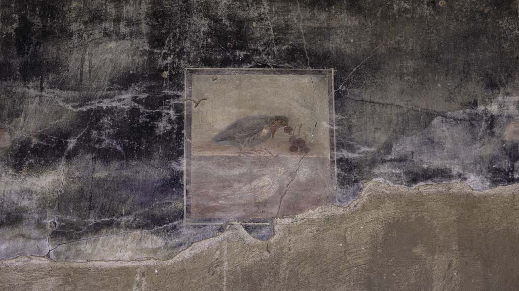 V.35 Herculaneum, August 2021. 
Ala 10, central wall painting from west wall of bird eating cherries. Photo courtesy of Robert Hanson.

