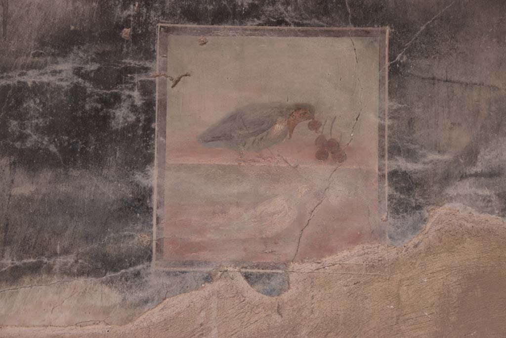 V.35 Herculaneum. October 2020. Ala 10, central wall painting of bird eating cherries, from west wall. Photo courtesy of Klaus Heese.