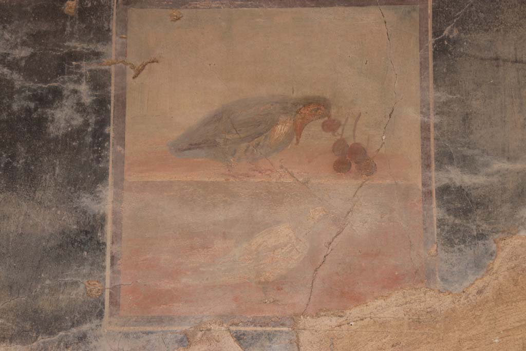 V.35 Herculaneum. September 2017. Ala 10, central wall painting of bird eating cherries, from west wall.
Photo courtesy of Klaus Heese.
