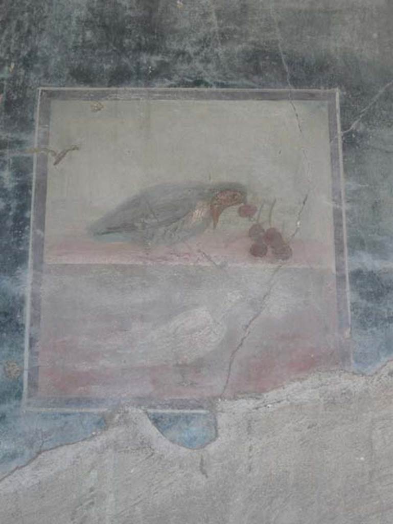 V,35 Herculaneum. August 2013. Ala 10, central wall painting of bird eating cherries, from west wall. Photo courtesy of Buzz Ferebee.