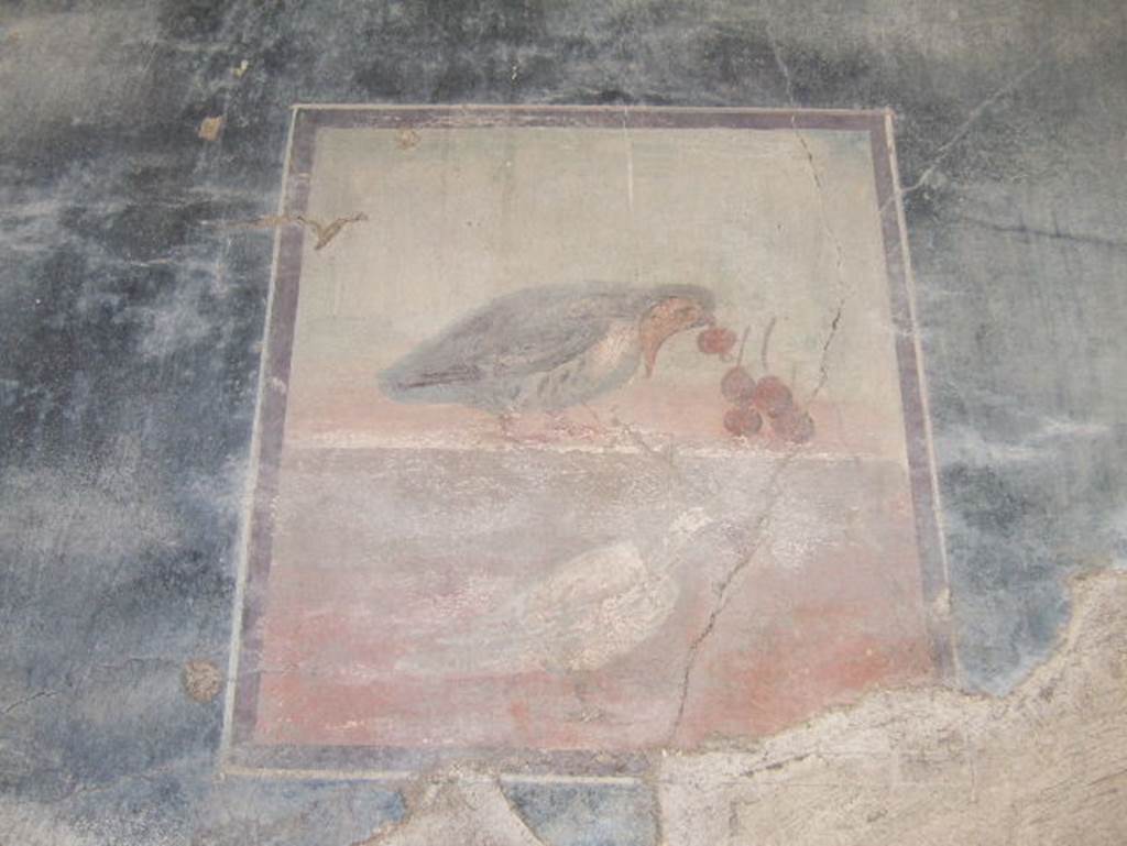 V.35 Herculaneum, May 2006. Ala 10, central wall painting of bird eating cherries, from west wall.
card%2010%20670