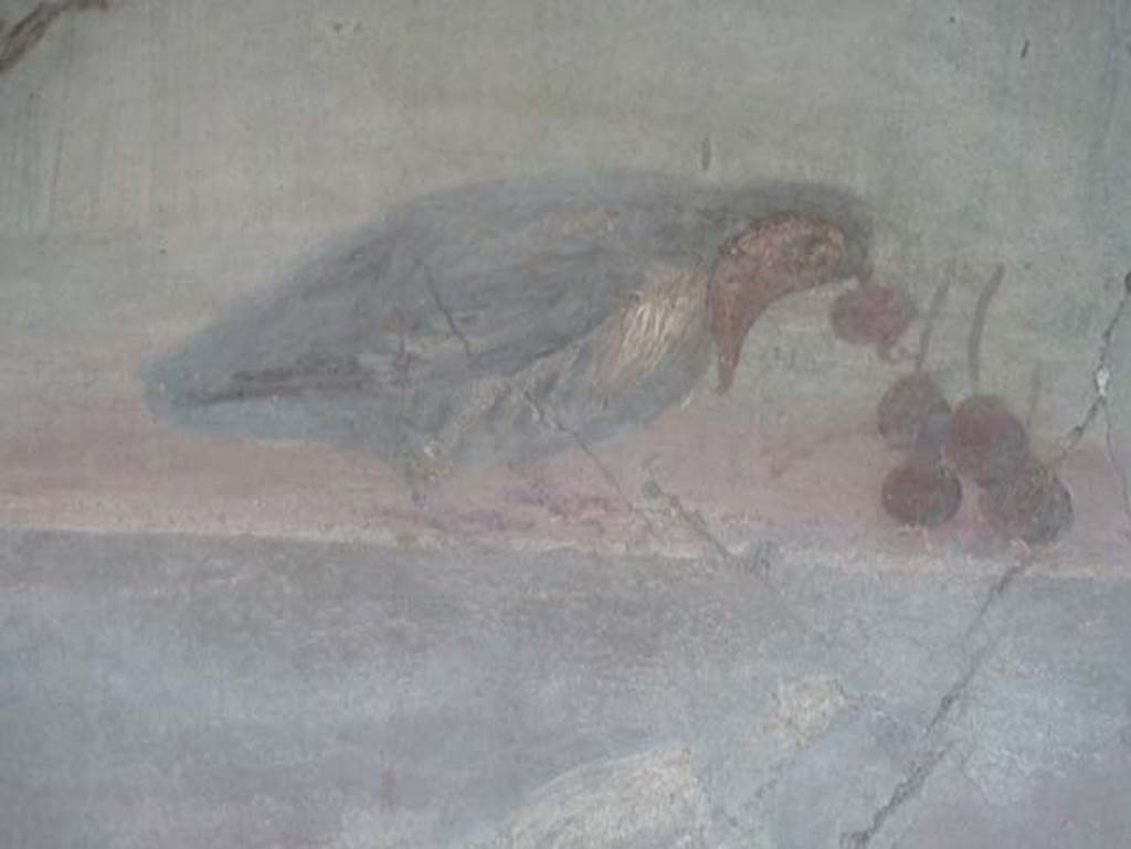 Ins. V 35, Herculaneum, September 2015. Ala 10, detail of bird eating cherries, from west wall.