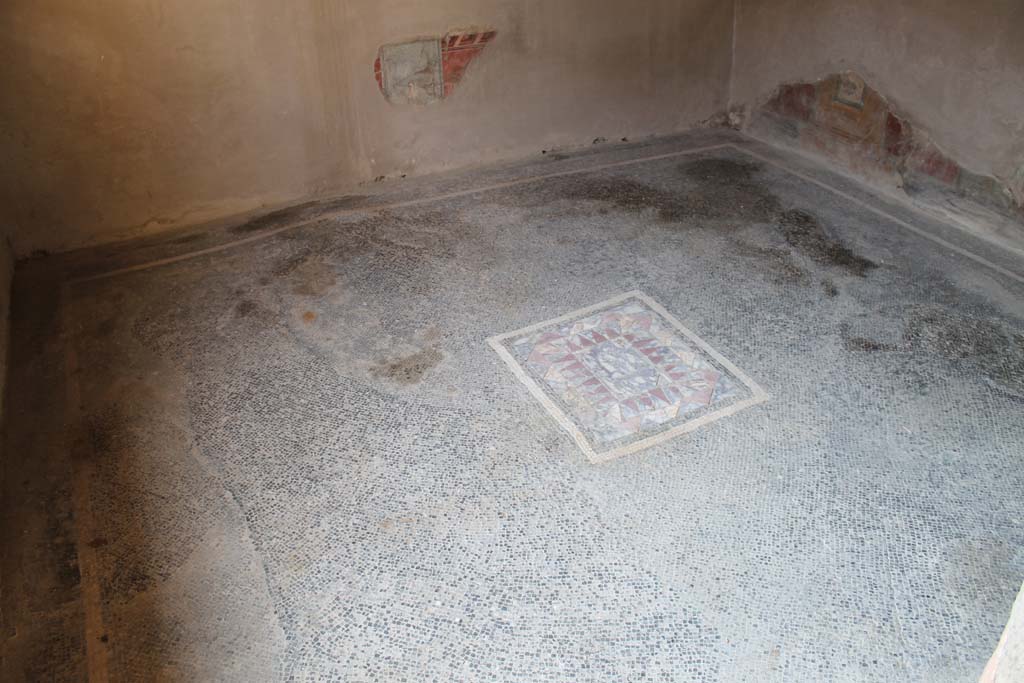 V.35 Herculaneum. March 2014. Diaeta 6, mosaic floor.
Foto Annette Haug, ERC Grant 681269 DÉCOR
