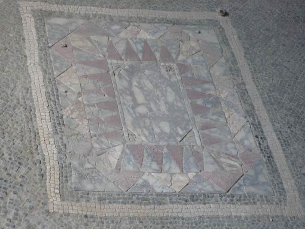 V,35 Herculaneum. August 2013. Diaeta 6, central emblem in mosaic floor. Photo courtesy of Buzz Ferebee.
