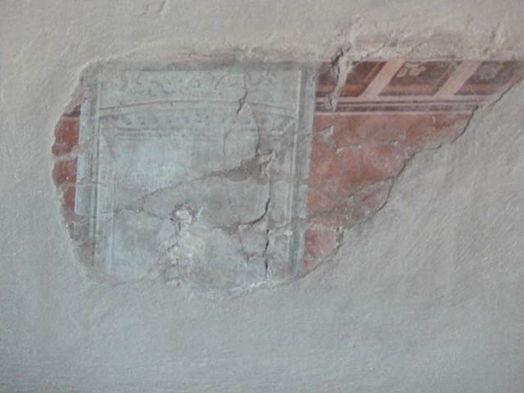 Ins. V 35, Herculaneum, September 2015. Diaeta 6, painted stucco from south wall.