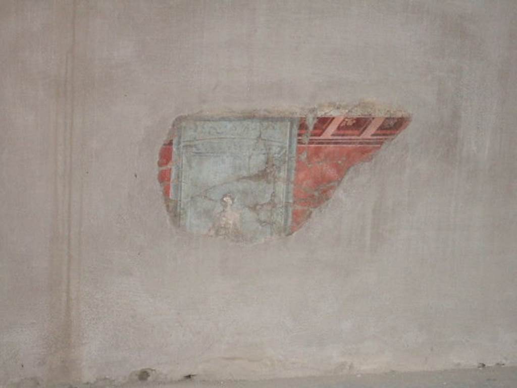 Ins. V. 35, Herculaneum, May 2006. Recomposed painted stucco on south wall