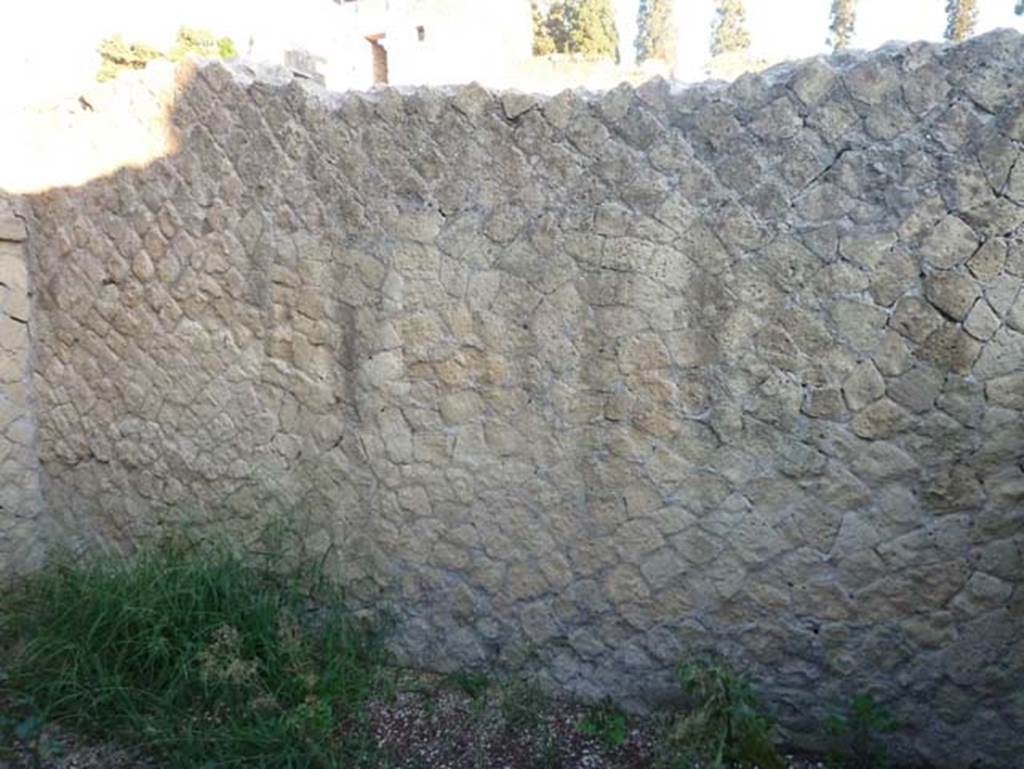 Ins. V 35, Herculaneum, September 2015. Oecus 2, looking towards east wall.

 
