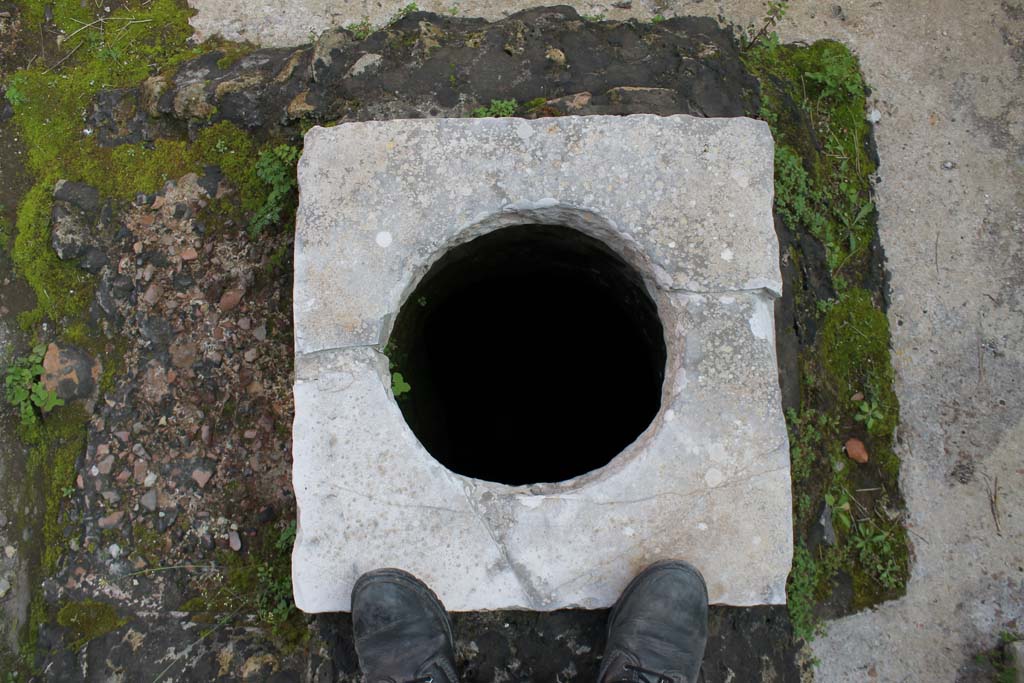 V.35 Herculaneum. March 2014. Cistern mouth in courtyard 12.
Foto Annette Haug, ERC Grant 681269 DÉCOR

