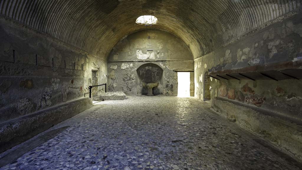 VI.1/7, Herculaneum, August 2021. 
Looking north across flooring of segmented black, grey and white marble. Photo courtesy of Robert Hanson.
