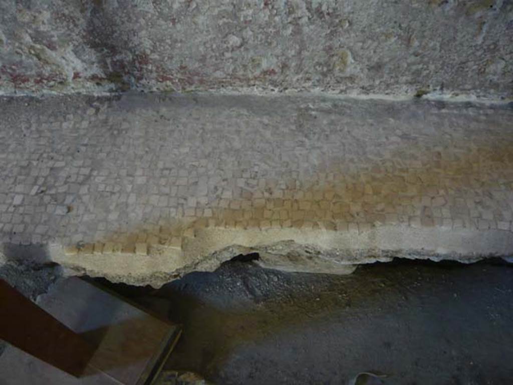 VI.1, Herculaneum. August 2013. Collapsed flooring near west wall of tepidarium. 
Photo courtesy of Buzz Ferebee.
