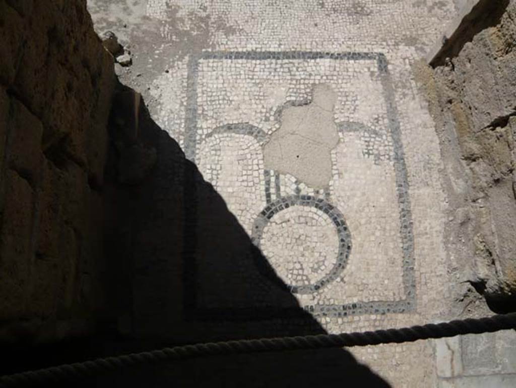VI.1, Herculaneum. August 2013. Mosaic in threshold of doorway from tepidarium into hot room or caldarium. Photo courtesy of Buzz Ferebee.
According to Maiuri, the calidarium is arranged as usual in Roman calidaria: there is the bath for immersion at one end of the room and the podium for the cold water labrum at the other end in a shell-shaped apse. The fallen vault gives us a clear view of the smoke-vents built behind the vault and of the hot-air pipes laid in the thickness of the walls.
See Maiuri, Amedeo, (1977). Herculaneum. 7th English ed, of Guide books to the Museums Galleries and Monuments of Italy, No.53 (p.37).

