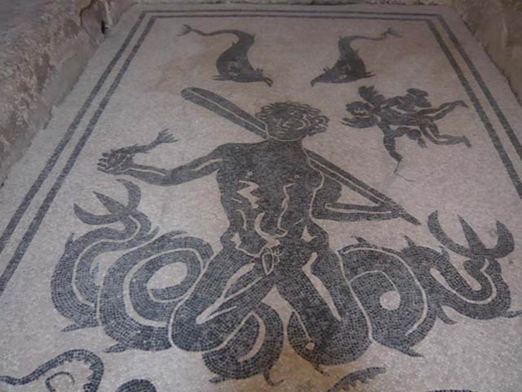 VI.8, Herculaneum. August 2013. Black mosaic of Triton on white floor. Photo courtesy of Buzz Ferebee.