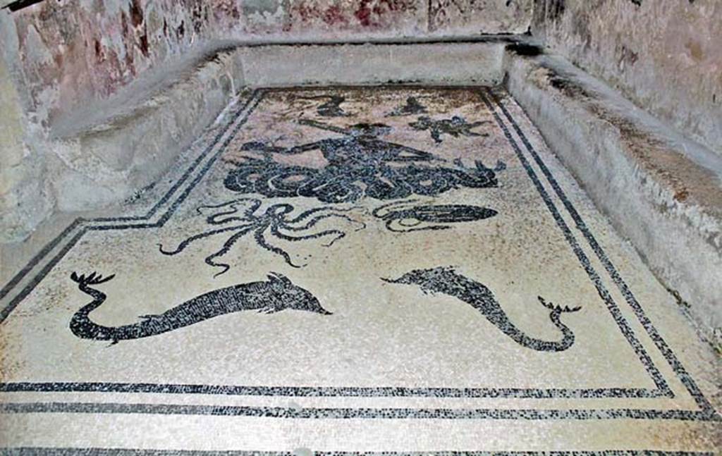 VI.8, Herculaneum. October 2001. Black mosaic on white mosaic flooring of changing room or apodyterium. Photo courtesy of Peter Woods.
