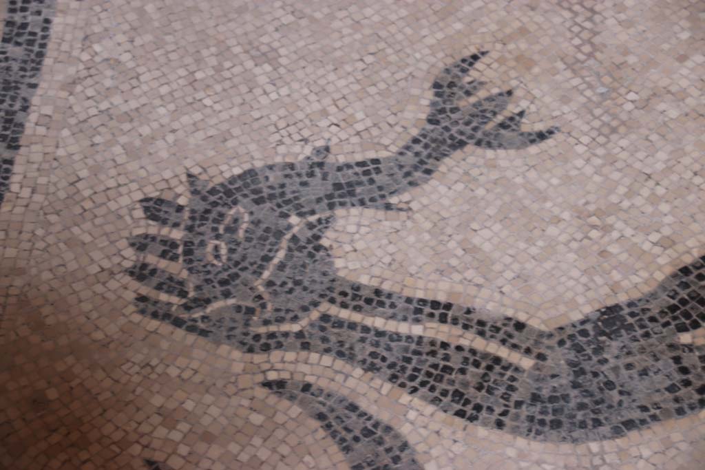 VI.8 Herculaneum. September 2017. Detail of hand of Triton and fish from mosaic floor of changing room or apodyterium.
Photo courtesy of Klaus Heese.
