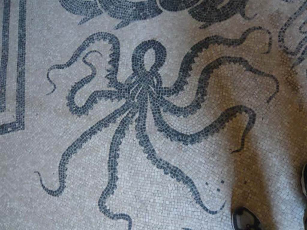 VI.8, Herculaneum. August 2013. Black and white mosaic of lobster. Photo courtesy of Buzz Ferebee.