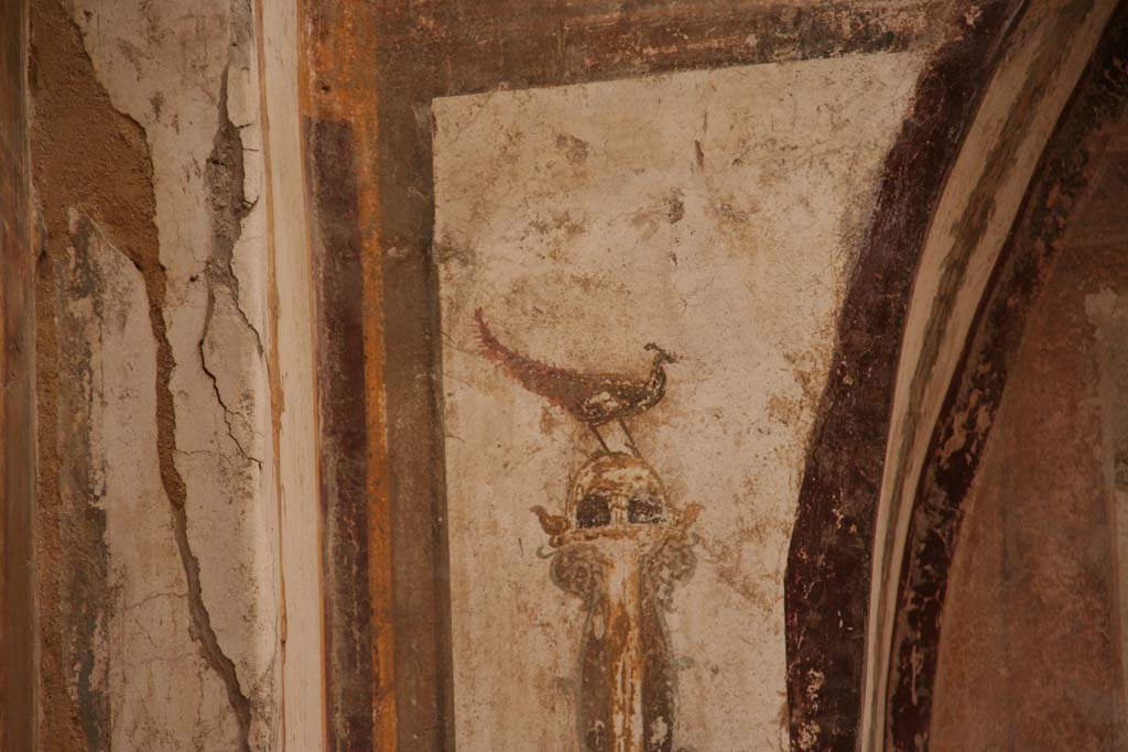 VI.21 Herculaneum. April 2013. Detail of painted bird from east side of south wall. Photo courtesy of Klaus Heese.
0184 Herculaneum - Sede degli Augustale - Sacellum - hintere Wand li - Vogel April 2013.
