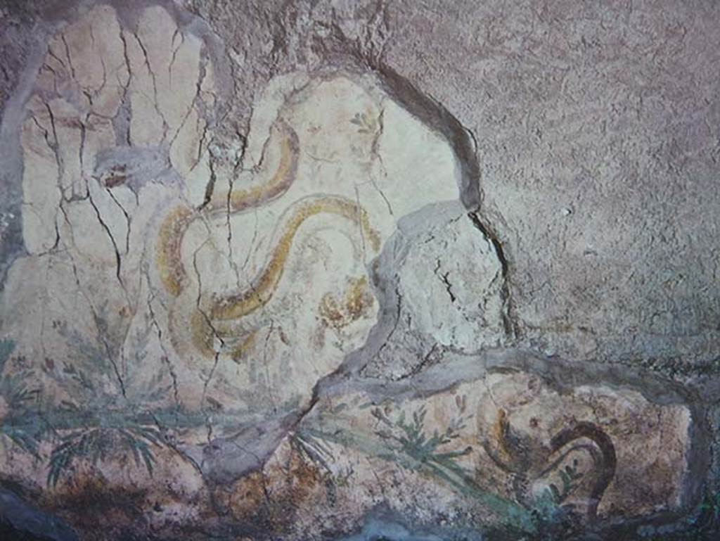 VI 26 Herculaneum, 1972. Remains of lararium painting on south wall of kitchen.