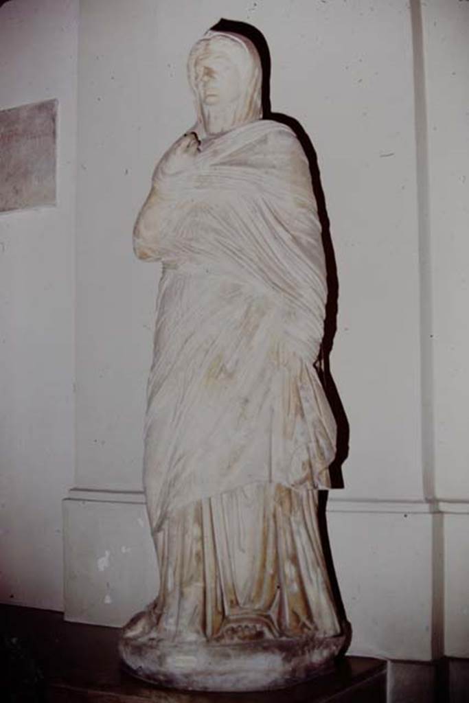 VII, Herculaneum, 1975. Marble statue of Viciria, mother of Nonius Balbus, found in the Basilica.
Photo by Stanley A. Jashemski.   
Source: The Wilhelmina and Stanley A. Jashemski archive in the University of Maryland Library, Special Collections (See collection page) and made available under the Creative Commons Attribution-Non Commercial License v.4. See Licence and use details.
J75f0575
Now in Naples Archaeological Museum, inventory number 6168.

The inscription under the statue read
Viciriae A(uli) f(iliae) Archaid(i) / matri Balbi / d(ecreto) d(ecurionum)   [CIL X 1440]
Now in Naples Archaeological Museum, inventory number 6872.

According to Cooley the following inscription was found in the Basilica Noniana with the female statue –
“To Viciria Archais, daughter of Aulus, mother of Balbus, by decree of the town councillors.” (CIL X 1440)
See Cooley, A. and M.G.L., 2014. Pompeii and Herculaneum: A Sourcebook. London: Routledge, (p.190, F101).  
 