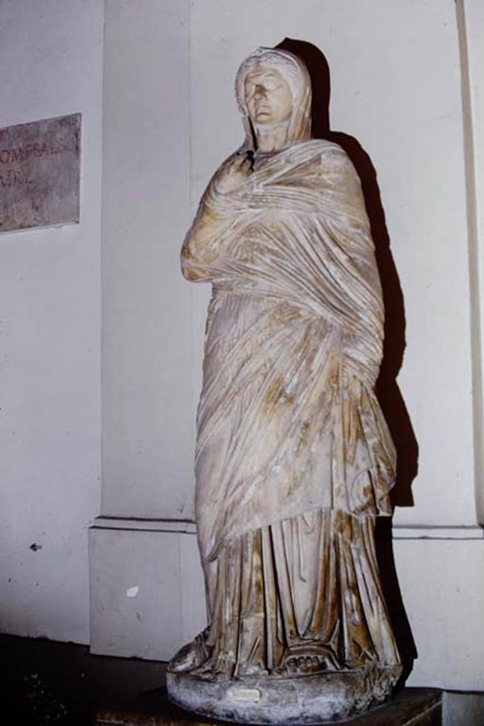 VII.16 Herculaneum, 1975. Marble statue of Viciria, mother of Nonius Balbus, found in the Basilica.
Photo by Stanley A. Jashemski.
Source: The Wilhelmina and Stanley A. Jashemski archive in the University of Maryland Library, Special Collections (See collection page) and made available under the Creative Commons Attribution-Non Commercial License v.4. See Licence and use details.
J68f1415
Now in Naples Archaeological Museum. Inventory number 6168.
