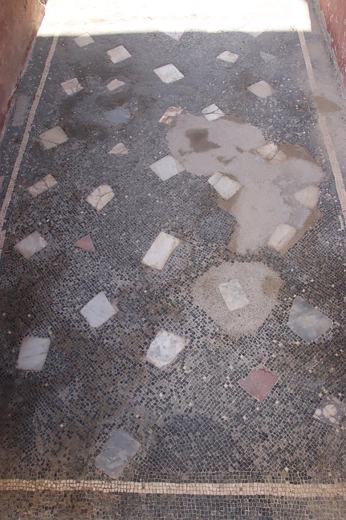 Ins. Orientalis I, 1, Herculaneum, October 2023. 
Looking east along mosaic floor in entrance corridor from doorway. Photo courtesy of Klaus Heese.
