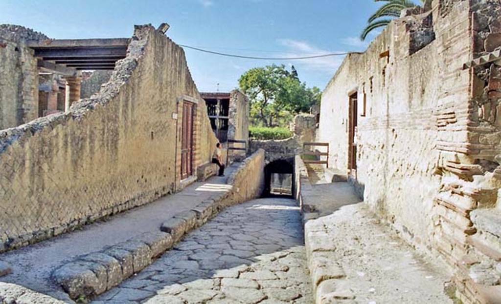 Cardo V Inferiore, Herculaneum, October 2001. Looking south along the Cardo V Inferiore with doorway to House of Telephus Relief (Ins.Or.I.2) on left. On the right is the doorway to the House of the Stags or Deer (IV.21). Photo courtesy of Peter Woods.

