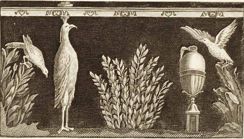 Ins. Or. II, 1a, Herculaneum. Three birds and a vase. One of three frescoes found in the Scavi di Portici, 1752.
Now in Now in Naples Archaeological Museum. Inventory number 8758.
See Le Antichità di Ercolano esposte Tomo 2, Le Pitture Antiche di Ercolano 2, 1760, Tav. 49, 265.
