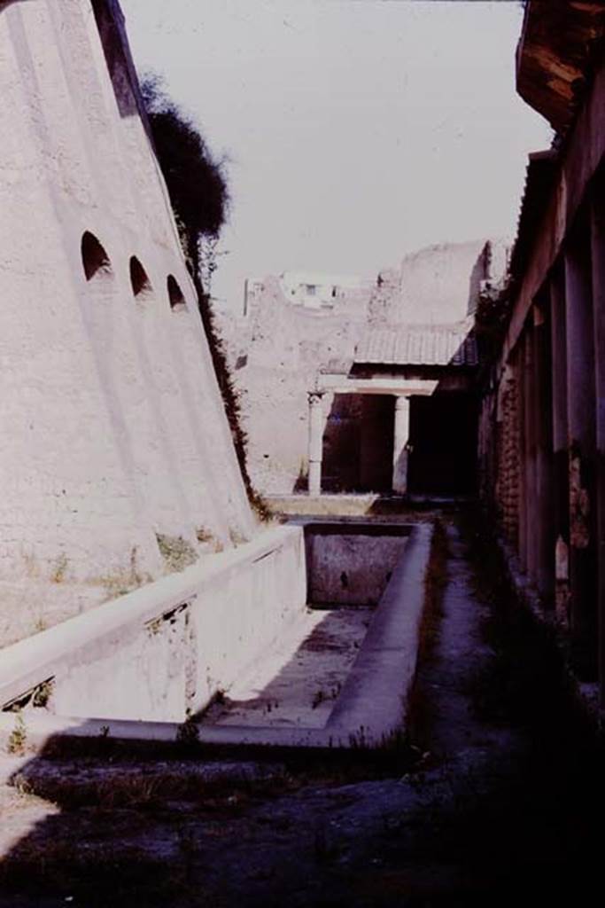 Ins. Or. II.4, Herculaneum. 1975. Looking along the basin, from the east end towards the west end. Photo by Stanley A. Jashemski.   
Source: The Wilhelmina and Stanley A. Jashemski archive in the University of Maryland Library, Special Collections (See collection page) and made available under the Creative Commons Attribution-Non Commercial License v.4. See Licence and use details. J75f0697 

