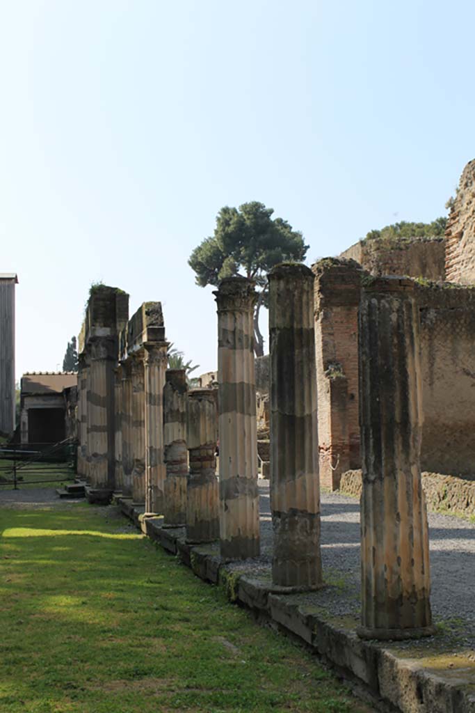 Ins. Orientalis II.4, Herculaneum, March 2014. 
Looking south along line of columns on west portico.
Foto Annette Haug, ERC Grant 681269 DÉCOR
