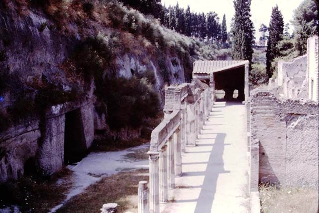 Ins. Or. II, Herculaneum, 1975. Looking towards the entrance to the Palestra, a cross from the steps down from the portico. Photo by Stanley A. Jashemski.   
Source: The Wilhelmina and Stanley A. Jashemski archive in the University of Maryland Library, Special Collections (See collection page) and made available under the Creative Commons Attribution-Non Commercial License v.4. See Licence and use details. J75f0711
