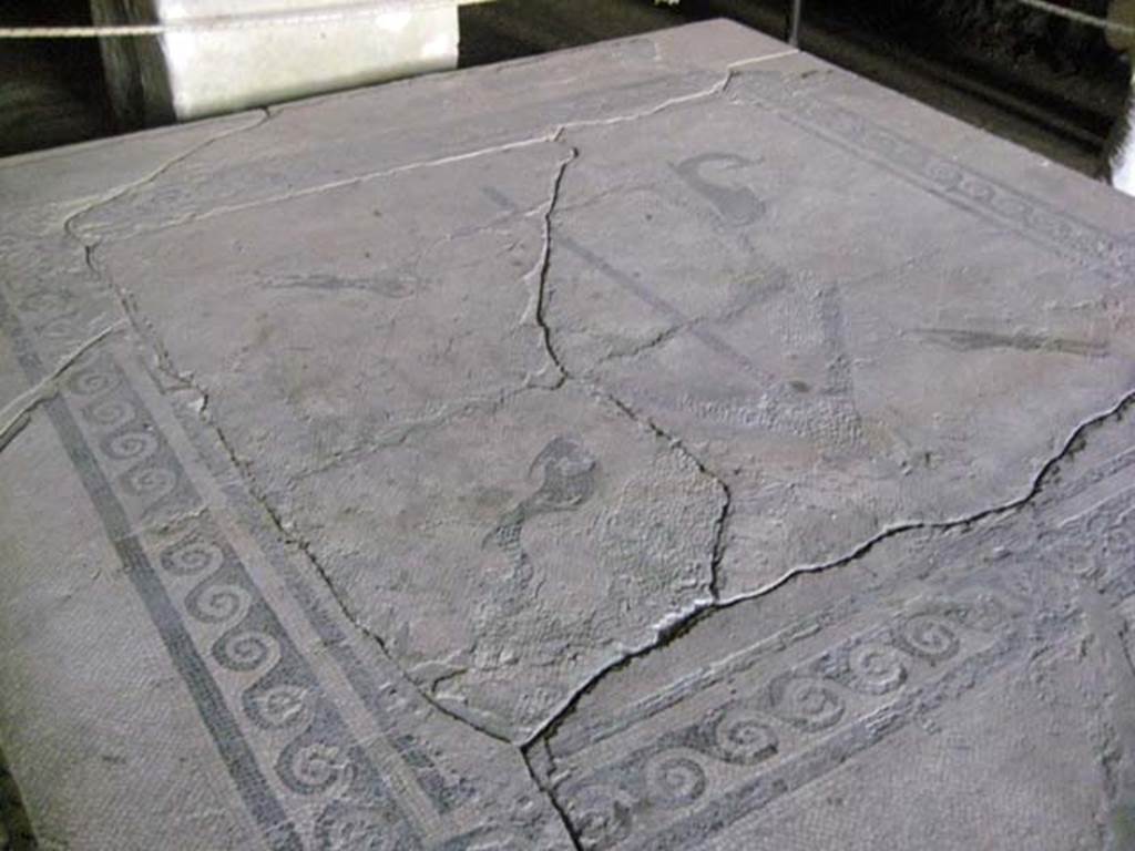 Ins. Orientalis II.4, Herculaneum, June 2011. A chunk of mosaic flooring. Photo courtesy of Sera Baker.