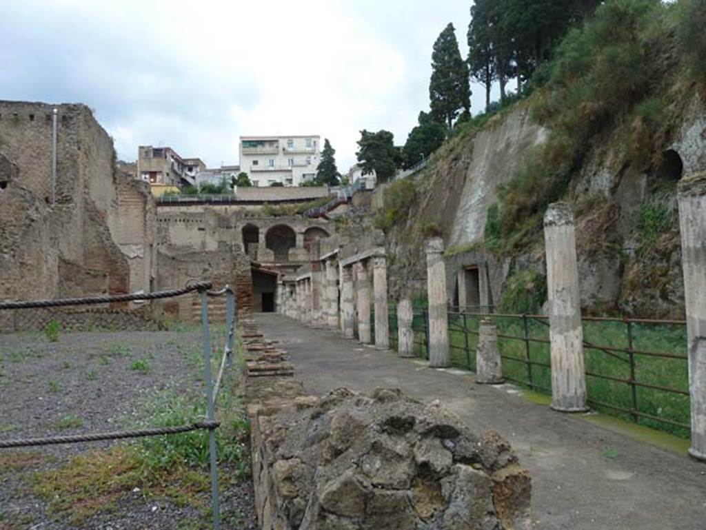 Ins. Orientalis II.4, Herculaneum, September 2015. 
Looking north along west portico, from near east end of large entrance hall. 
